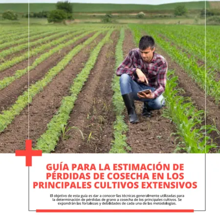 Metodologías de Medición de Pérdidas de Cosecha
