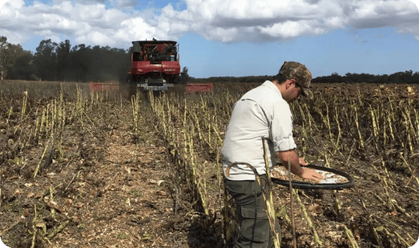 Ingeniero trabajando en campo